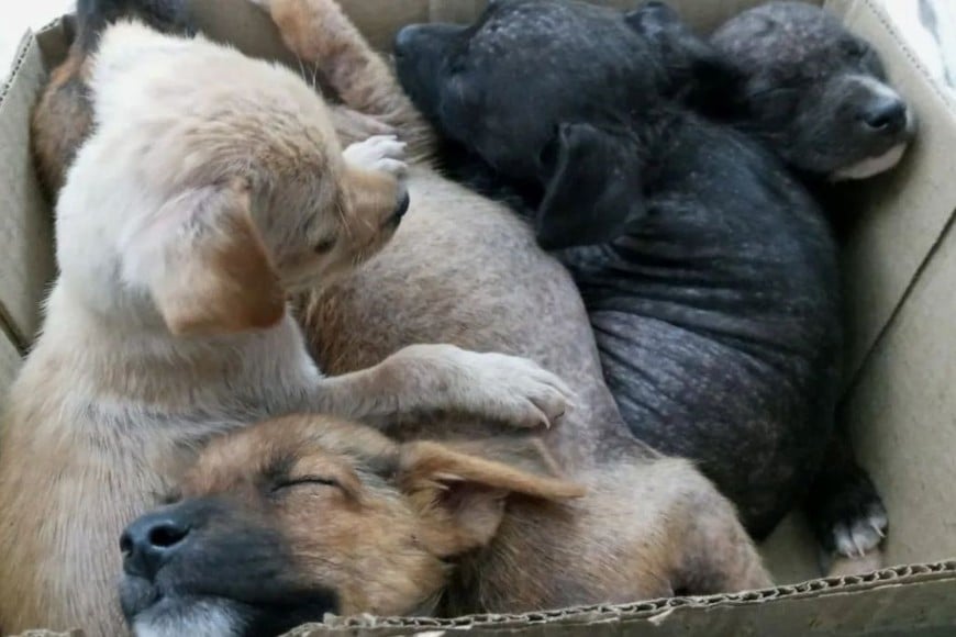 Sostenibilidad y Ecosistema