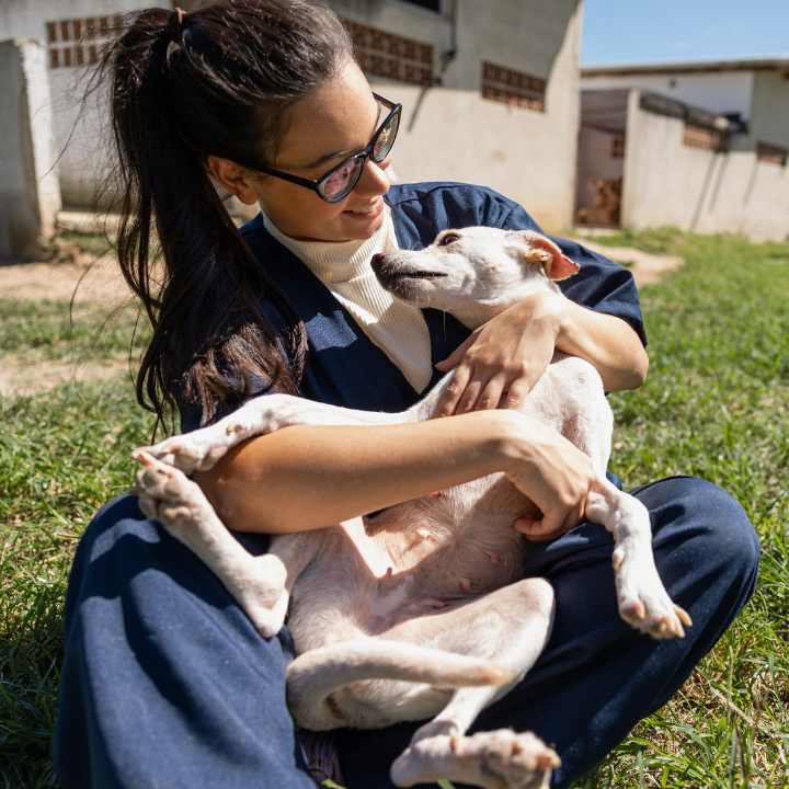 Voluntariado Unidos en Acción 4
